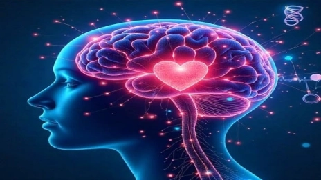 هوش مصنوعی در پزشکی +مزایا و معایب+حذف رشته های پزشکی🟢 1 هوش مصنوعی در پزشکی