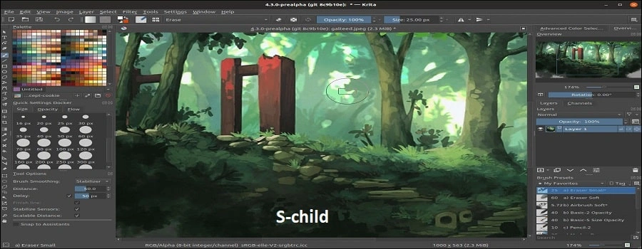 فتوشاپ آنلاین چیست؟+معرفی جایگزین های آن به صورت آنلاین🟢 3 جایگزین فتوشاپ آنلاین